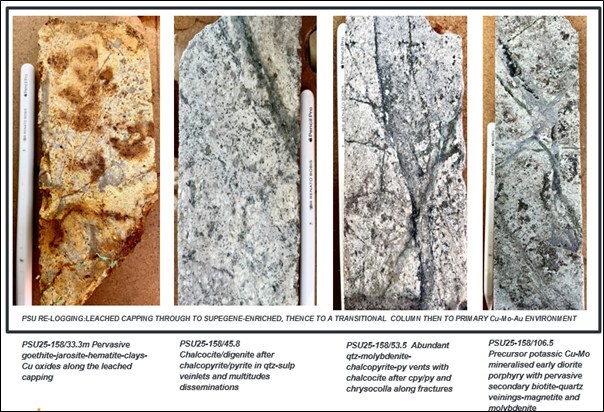 PHOTOGRAPH 1. Representative spectrum of domains from shallow leached capping through to supergene-enriched domain thence down-dip to a potassic-altered diorite porphyry hosting porphyry Cu-Mo-Au mineralization. (CNW Group/Minsud Resources Corp.)
