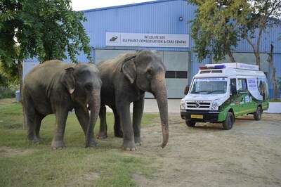 Rescued elephants Zara, left, and Arya welcome the new Wildlife SOS mobile elephant clinic vehicle that will provided specialized medical support to elephants suffering in remote areas of India. Rescued elephants Zara, left, and Arya welcome the new Wildlife SOS mobile elephant clinic vehicle that will provided specialized medical support to elephants suffering in remote areas of India.