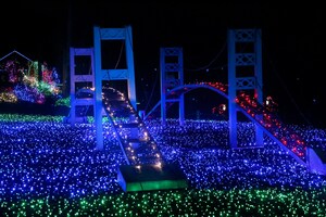 Discover Holiday Magic in Pierce County's Festive Cities
