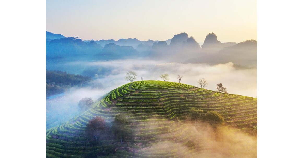 Xinhua Silk Road: SE. China city leverages ecology friendly industries to boost global presence