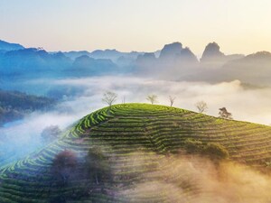 Xinhua Silk Road: SE. China city leverages ecology friendly industries to boost global presence