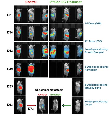 Images of control and 2nd Gen treatment condition mice using in vivo imaging system. Live imaging system was utilized to capture the tumor growth at various timepoints. The DC treated mouse showed absent signals of tumor at 5-week post dosing.