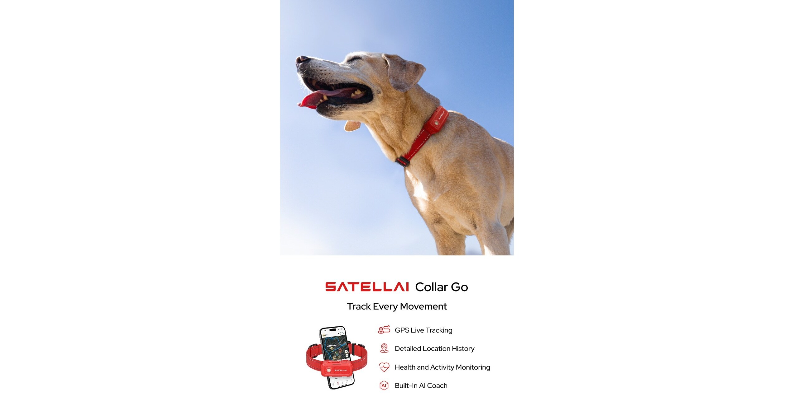 SATELLAI Collar Go, GPS Dog Collar with AI-Powered Health Analysis, 15-Day  Battery Life, and More, Now Available for Pre-Order