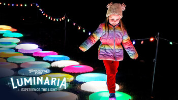 Luminaria Shiny Steps