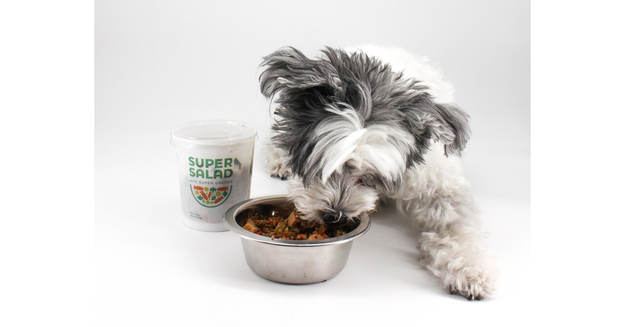 PawCo Makes History with the First Real Salad for Dogs -- Ready to Takeover the $150B Pet Industry