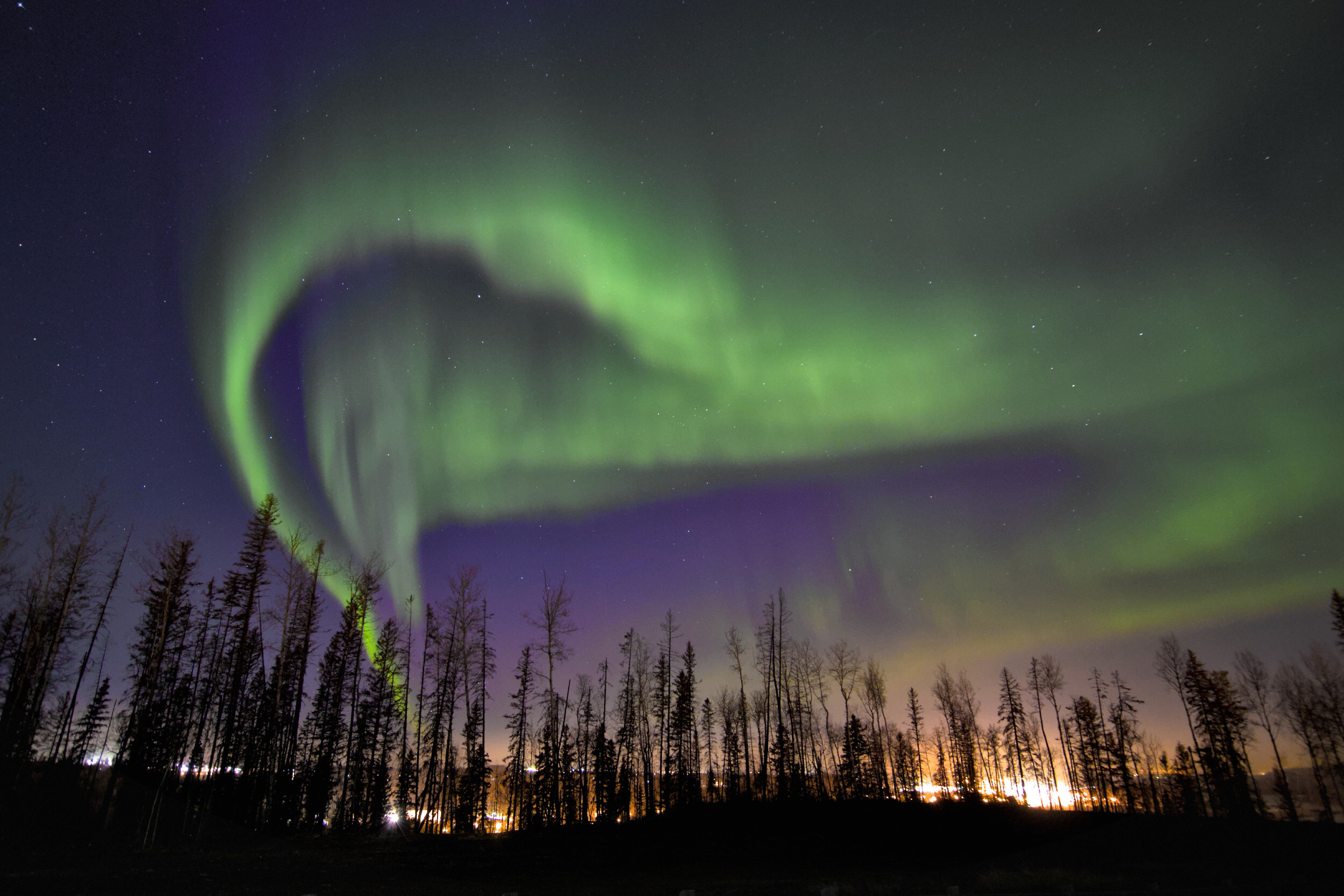 Aurora Admin's Forecast Model Helps Enthusiasts Catch the Northern Lights in Real Time Bringing the Northern and Southern Lights closer than ever