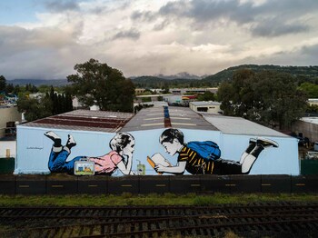 Established in 2016, Rail Arts District Napa (RAD) radically enriches the community through investment in and stewardship of a new public art district in The City of Napa.