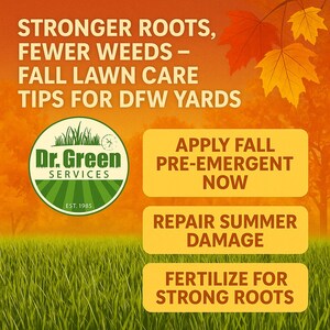 Dr. Green Services Warns DFW Homeowners: Don't Skip Winter Pre-Emergent--Spring Weeds Start Now