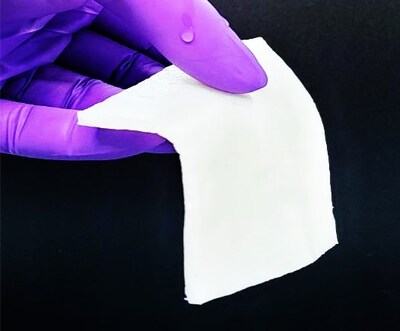 Collagen Sheet
