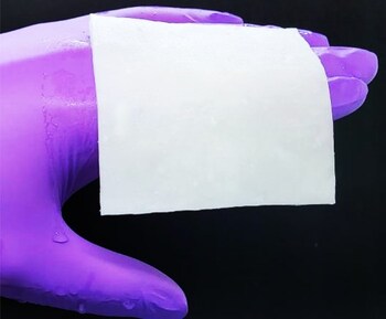 Collagen Sheet