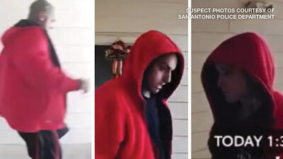 Alley Cat Allies Offers $10,000 Reward for Prosecution and Conviction of San Antonio <em>Man</em> Who Strangled Kitten