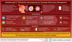 Pusan National University Researchers Explore Smart Nanomaterials That Detect and Treat Traumatic Brain Injuries Simultaneously