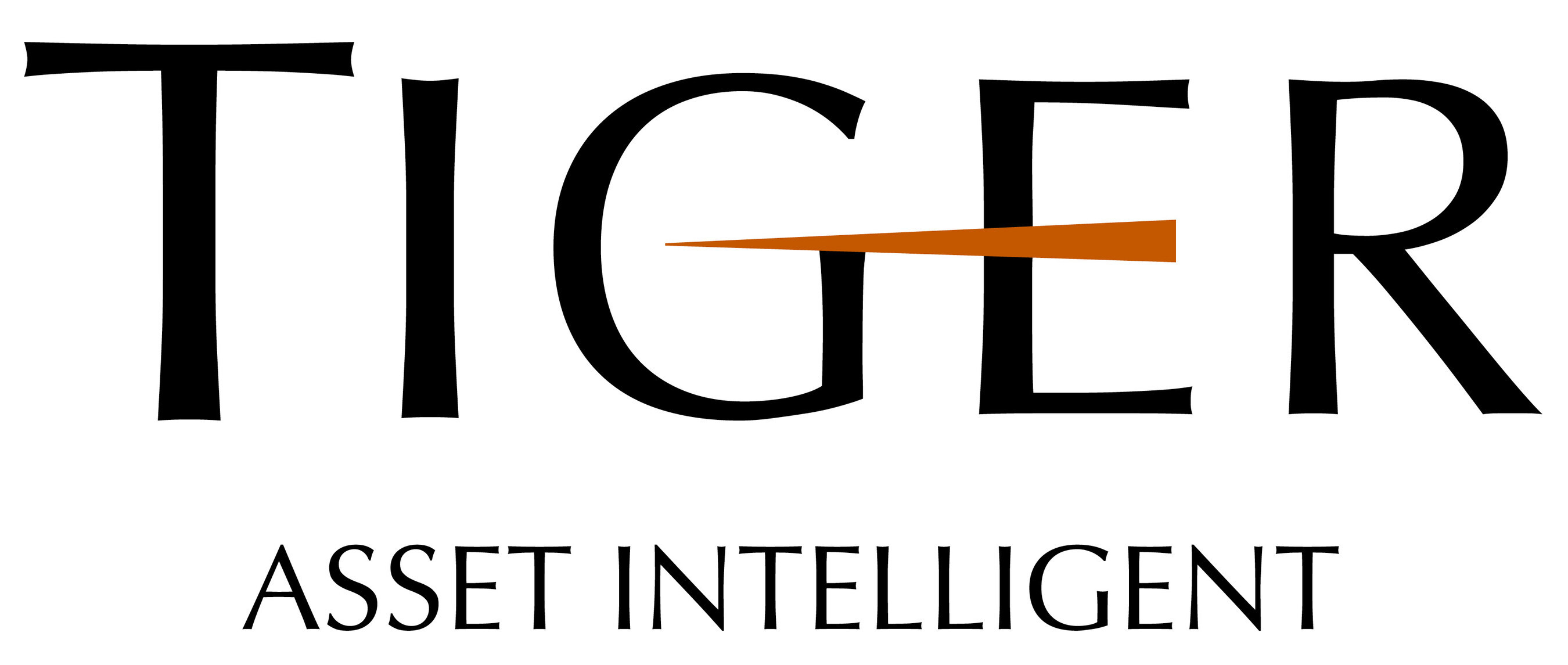 Tiger Finance's New Commitments Year-to-Date Top $200 Million