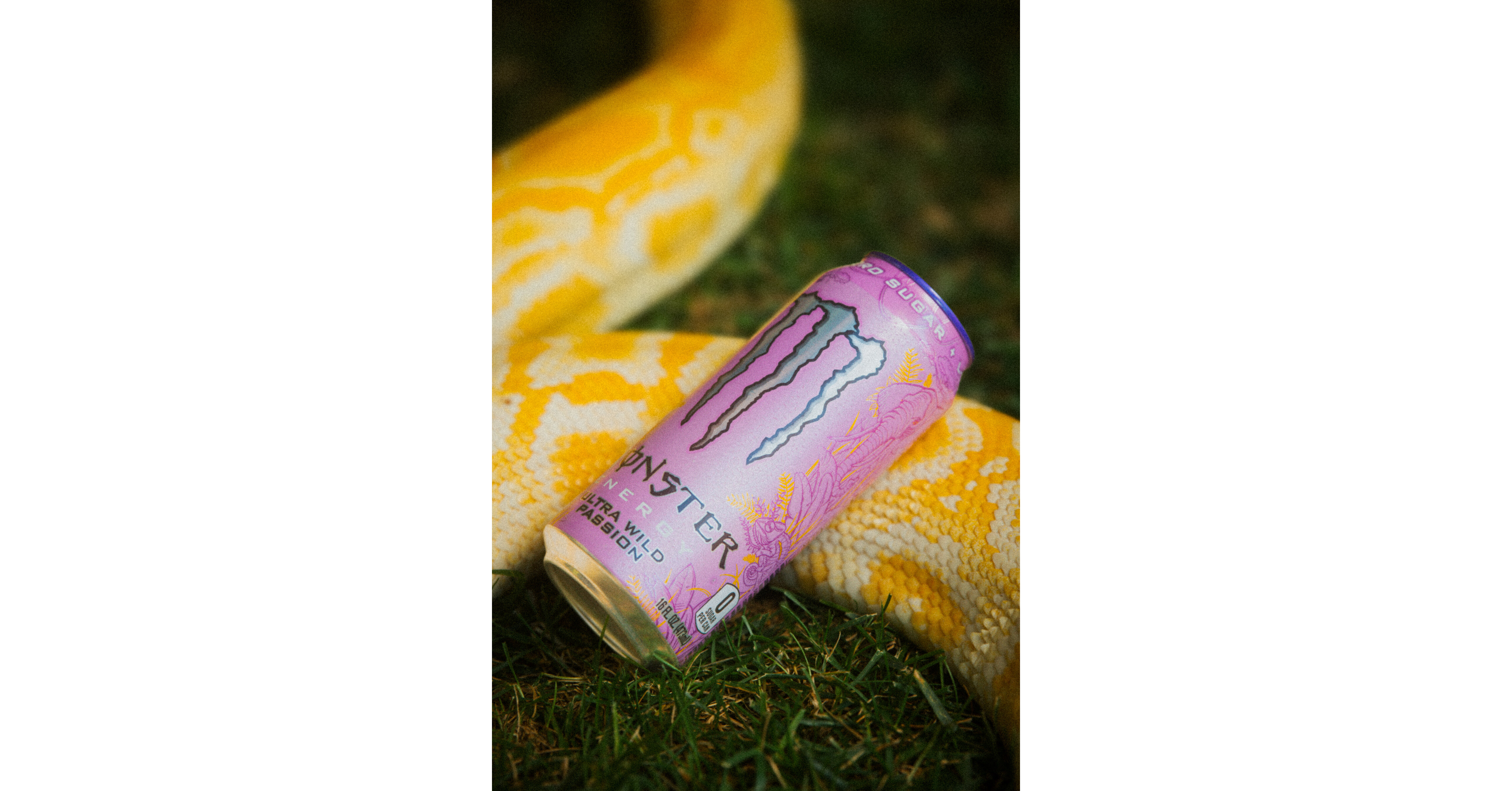 MONSTER ENERGY UNLEASHES ULTRA WILD PASSION