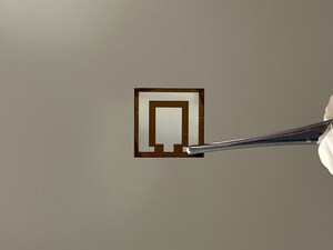 Lingnan scholar from the School of Interdisciplinary Studies co-creates breakthrough strategy for highly efficient and stable inverted perovskite solar cells - published in Nature