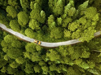 Image of Forest: General Imagery