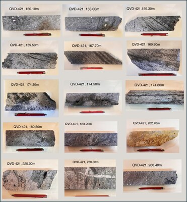 Figure 02: Selected intercepts from QVD-421 drill core, corresponding to the intercept from 141.00 to 264.00 m (123.00 m core length) with anomalous silver values, displaying evidence of hydrothermal activity. (CNW Group/Argenta Silver Corp.)