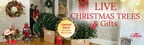 JM Flower Launches Limited-Time Early Bird & Black Friday Christmas Sale - Christmas Trees & Christmas Gifts with Free Shipping!