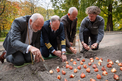 The tulip will bloom in Spring 2026