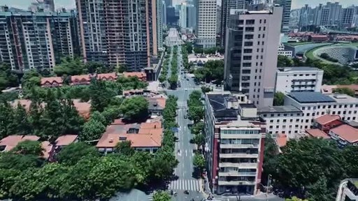 Xinhua Silk Road: Jing'an Moment in the Global Spotlight