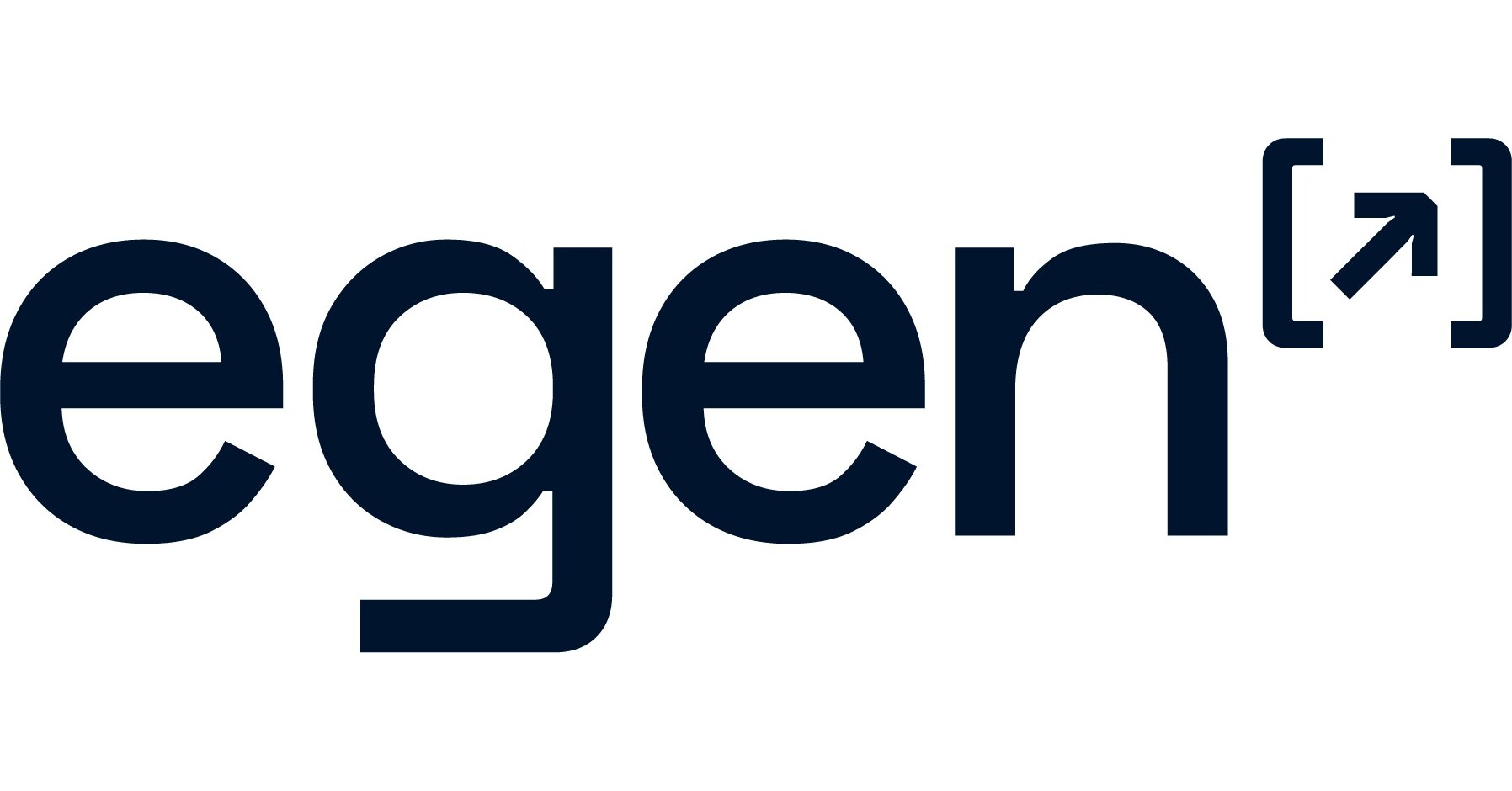 Egen recognized as a Leader in Everest Groups Google Cloud Services Specialists PEAK Matrix&reg; Assessment 2025