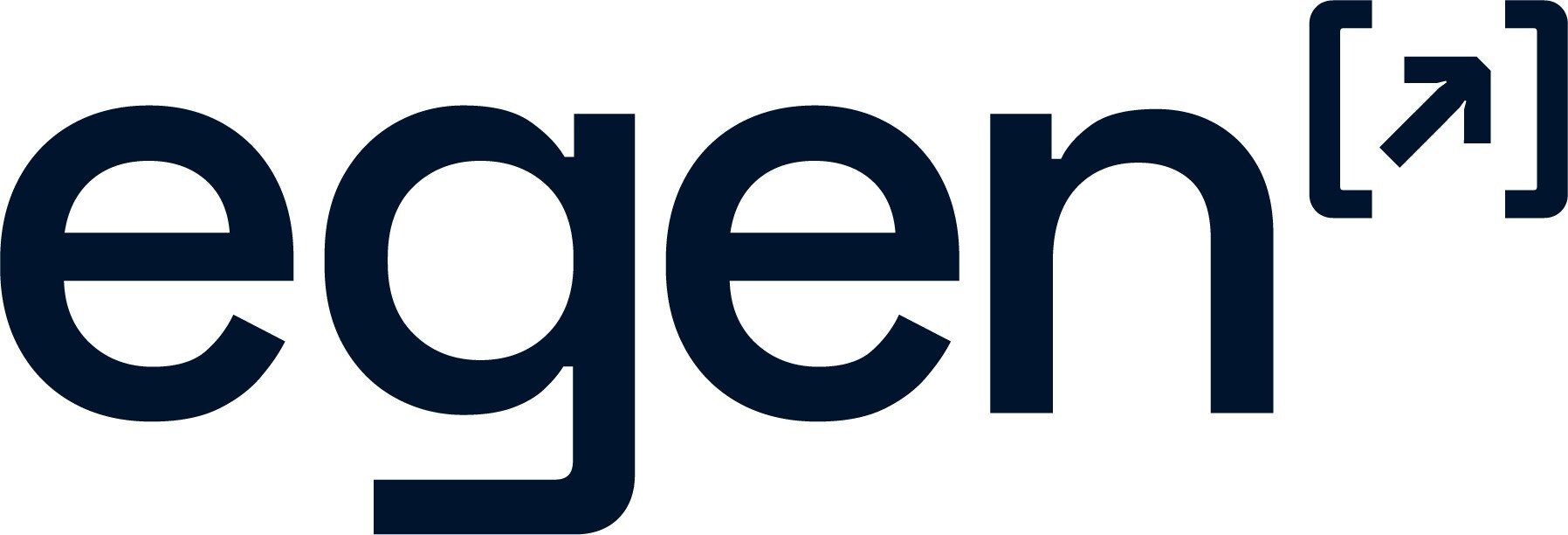 Egen recognized as a Leader in Everest Group's Google Cloud Services Specialists PEAK Matrix® Assessment 2025