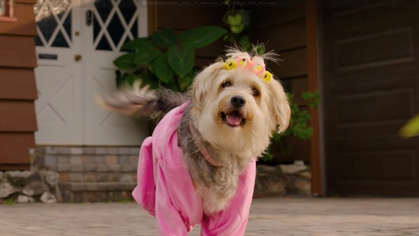 Unable to view the image, Please provide a valid URL.