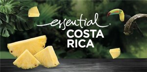 Costa Rica : le premier exportateur mondial d'ananas et un producteur de bien-être