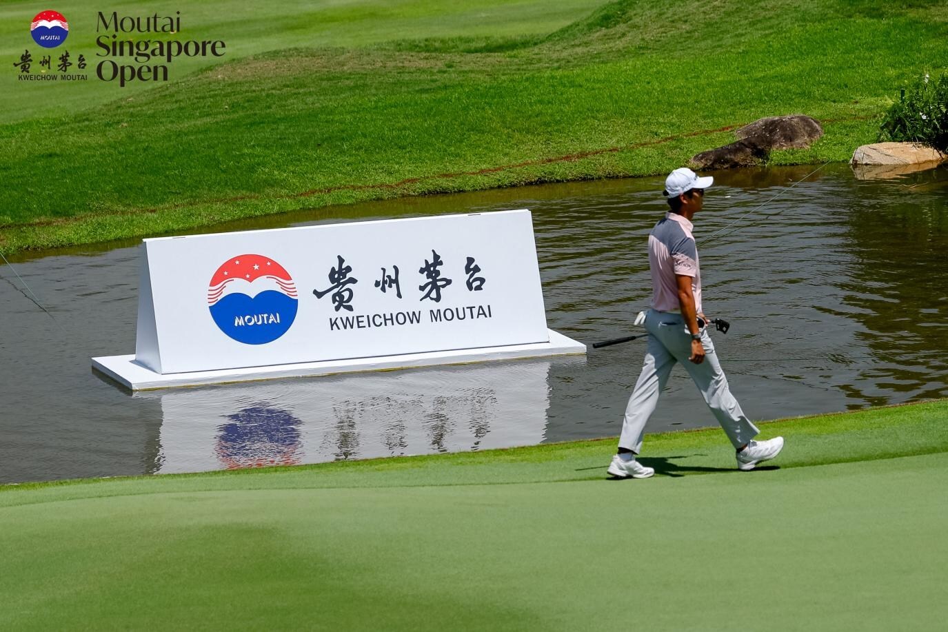 Beyond the Green: Discover How China’s Top Liquor Brand Is Leading a Bold New Era of Expansion