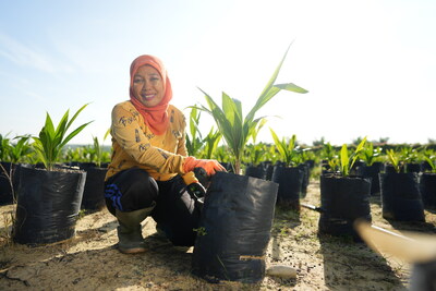 Dami Mas DxP MTK seeds aim to support climate resilient yields for palm oil farmers (PRNewsfoto/Golden Agri-Resources) Dami Mas DxP MTK seeds aim to support climate resilient yields for palm oil farmers (PRNewsfoto/Golden Agri-Resources)