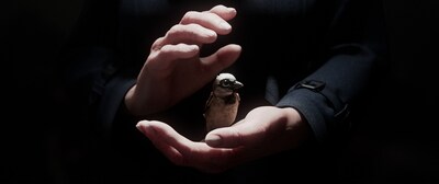 Best Student Project — “A Sparrow’s Song” (Germany)