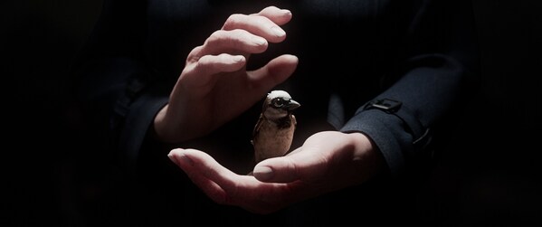 Unable to view the image, Please provide a valid URL.