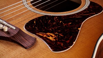 Taylor® Guitars Announces Trey Hensley Gold Label 510e