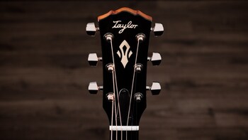 Taylor® Guitars Announces Trey Hensley Gold Label 510e