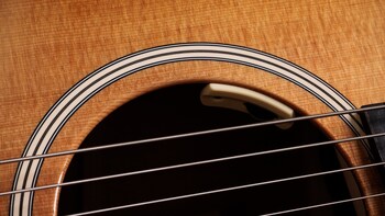 Taylor® Guitars Announces Trey Hensley Gold Label 510e