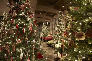 Meijer Gardens Lights Up the Holidays With International Traditions and Return of ENLIGHTEN Outdoor Light Spectacle