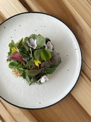 Foragers Salad: a salad of wild foraged greens and flowers over a bed of whipped pumpkin seed with local honeycomb. Photos Credit: Brian Samuels Photography