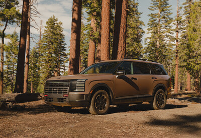 Palisade XRT Pro at Mammoth Mountain