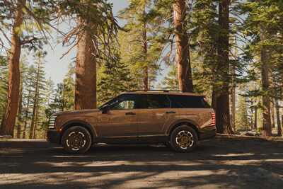 Palisade XRT Pro at Mammoth Mountain