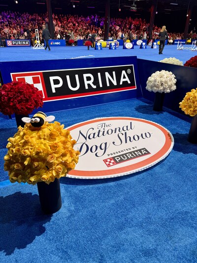 The National Dog Show presented by Purina was inspired by the iconic movie Best in Show, which turns 25 this year. To mark the 25th anniversary of the film and get pet lovers excited for this year’s National Dog Show, Purina is giving fans a chance to win their own long-lost Busy Bee dog toy, along with the Best in Show digital movie.