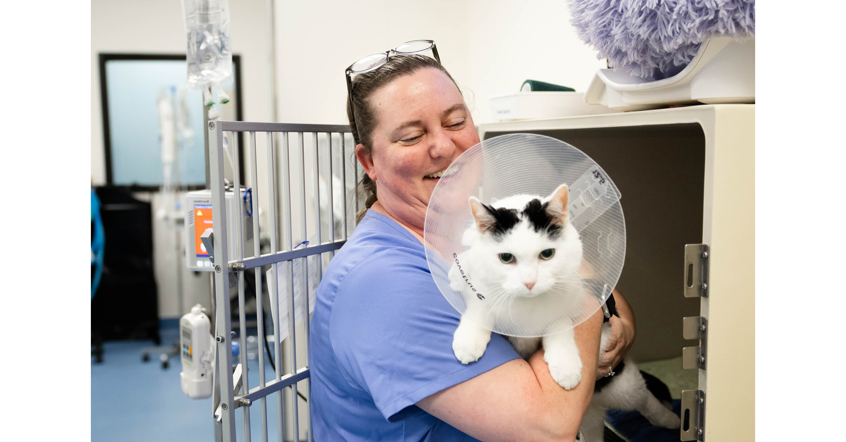 Lovet Pet Health Care Expands Grand Rapids Footprint with Three New Veterinary Hospitals