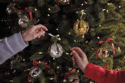 Unable to view the image, Please provide a valid URL.