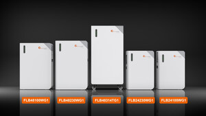 FelicitySolar Joins ENF Trade TV Discussion on LFP vs Sodium-Ion Batteries Amid Global Energy Storage Surge