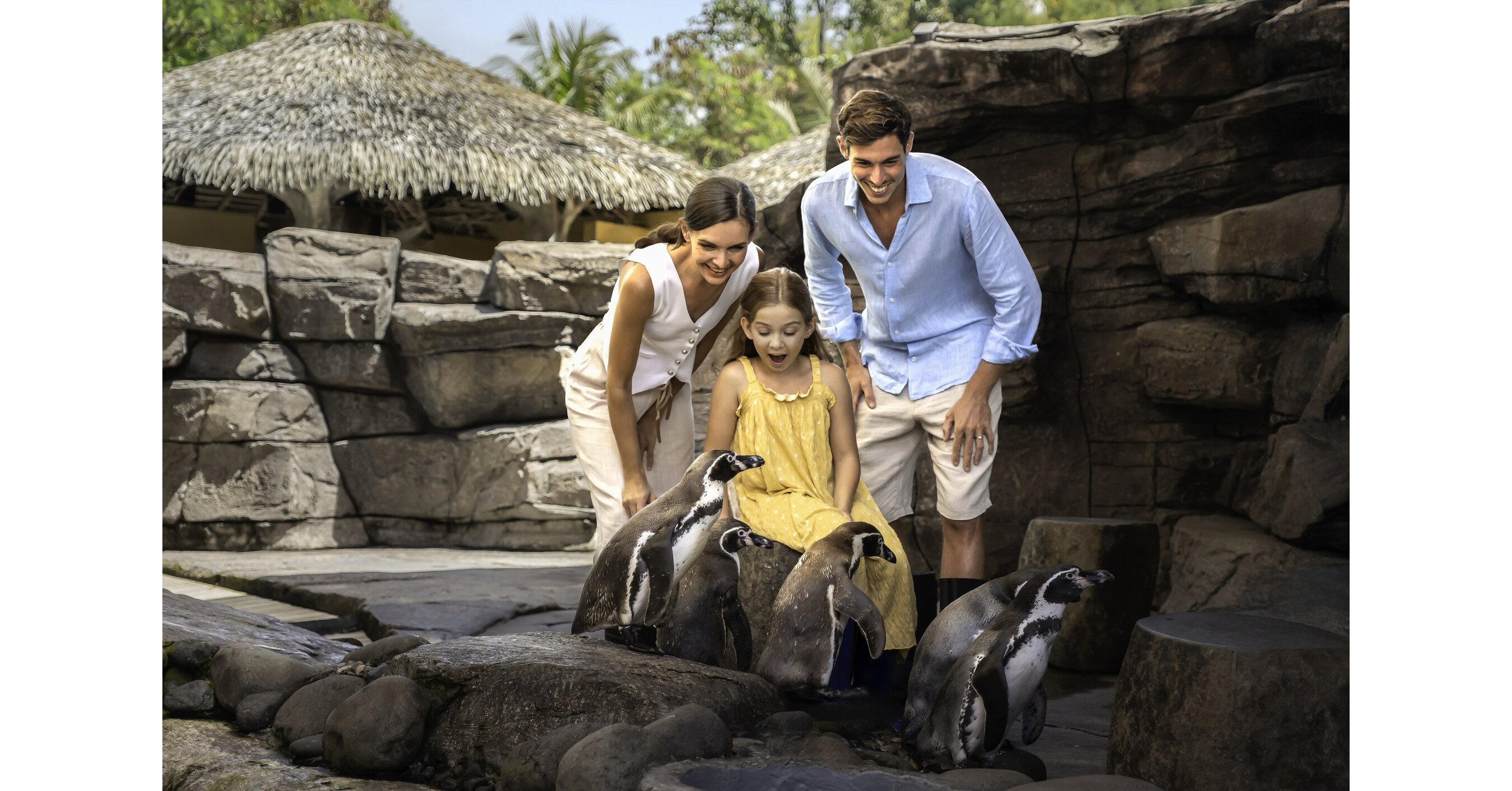 Pesona Kehidupan Laut di Bali - Marine Safari Bali Hadirkan Petualangan Laut dengan Format Baru di Asia Tenggara