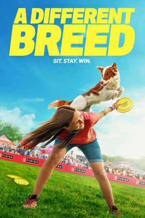 Canine sports documentary series arrives on Peacock to bolster 'dog show' offerings