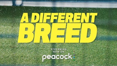 Canine sports documentary series arrives on Peacock to bolster ‘dog show’ offerings