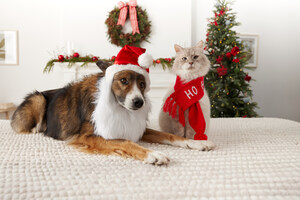 PetSmart's Free Pet Photos With Santa Return Nationwide