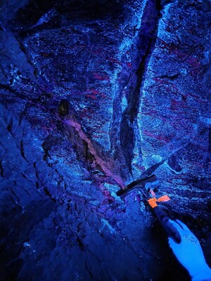 Photo 3: Scheelite (CaWO4) mineralization fluorescing under short wave UV in the Mactung Adit. (CNW Group/Fireweed Metals Corp.)