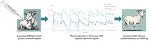 Innocan Pharma Announces Promising Translational Evidence from a Pain Relief Study of Repeated LPT-CBD Administration in Goats