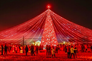 Winter City Lights in Maryland Wins National Recognition in Newsweek's Readers' Choice Awards